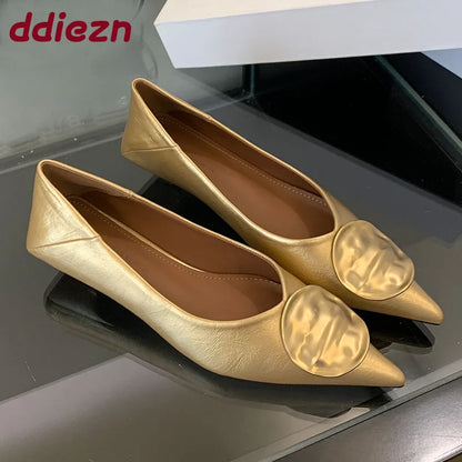 Female Slip On Footwear With Low Heel Shoes For Women New In Summer Spring Pointed Toe Fashion Metal Ladies Heeled Shoes