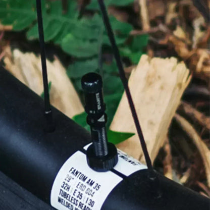 TLR Bicycle  Juicy Nipple Fillmore Tubeless Bike Tire Valves Valve Cap Presta  Repair Tool Kit